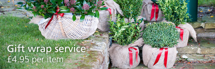 Gift wrap service