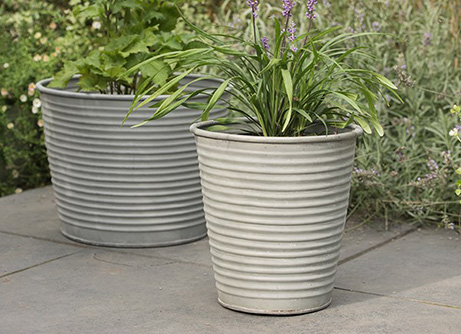 Buy garden pots and containers | RHS Plants