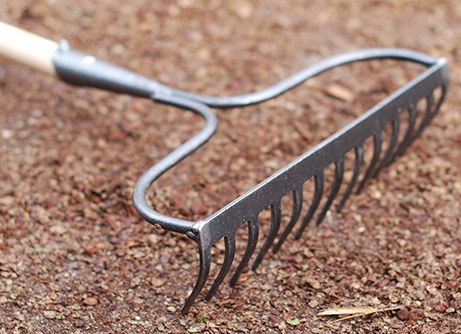 Buy garden tools, pots & many other garden products | RHS Plants