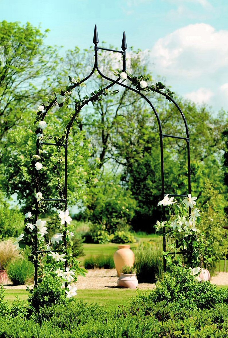 Junehow to grow arches and pergolas