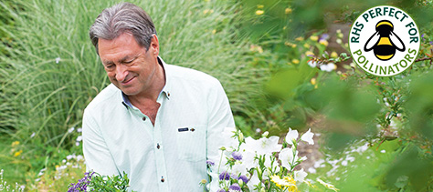 Help feed bees & butterflies