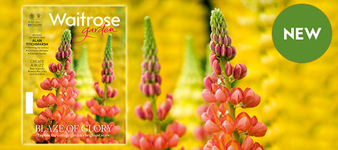 Waitrose Garden magazine