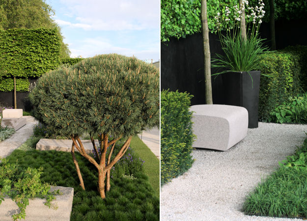 Ulf's Daily Telegraph Garden
