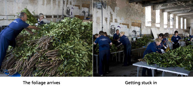The foliage arrives
