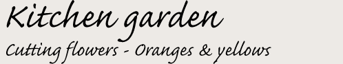 Kitchen garden Orange & yellows