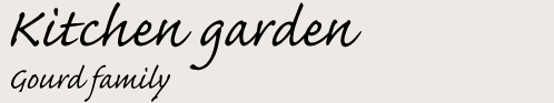 Kitchen garden Gourd family