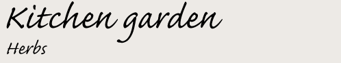 Kitchen garden Herbs