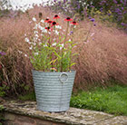 Wildflower and ribbed planter combination