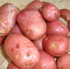 potato Desiree