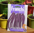 bean (climbing French) Trionfo Violetto