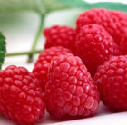 raspberry Tadmor (PBR)
