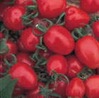 tomato Red Alert