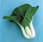 pak choi Joi Choi F1