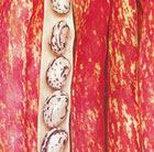 bean (climbing French) Lingua di Fuoco