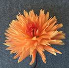 Dahlia Mel's Orange Marmalade