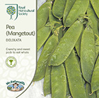 pea (Mangetout) Delikata