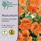 Tropaeolum majus Alaska Salmon Orange