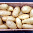 potato Kifli