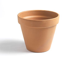 Classic terracotta pot