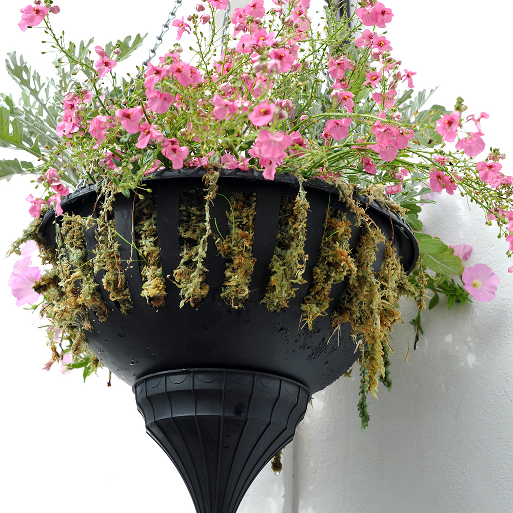 how often to water hanging flower baskets