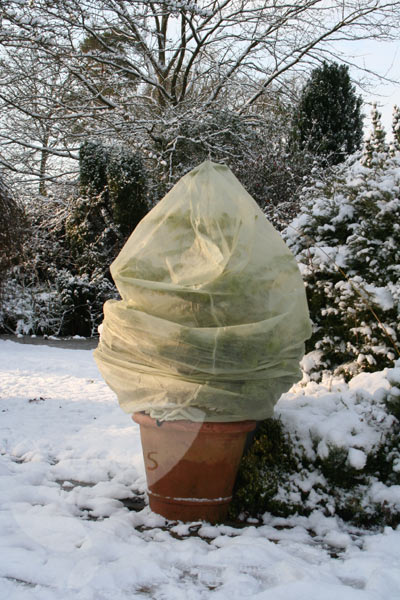 Buy Winter fleece plant covers: Delivery by Crocus