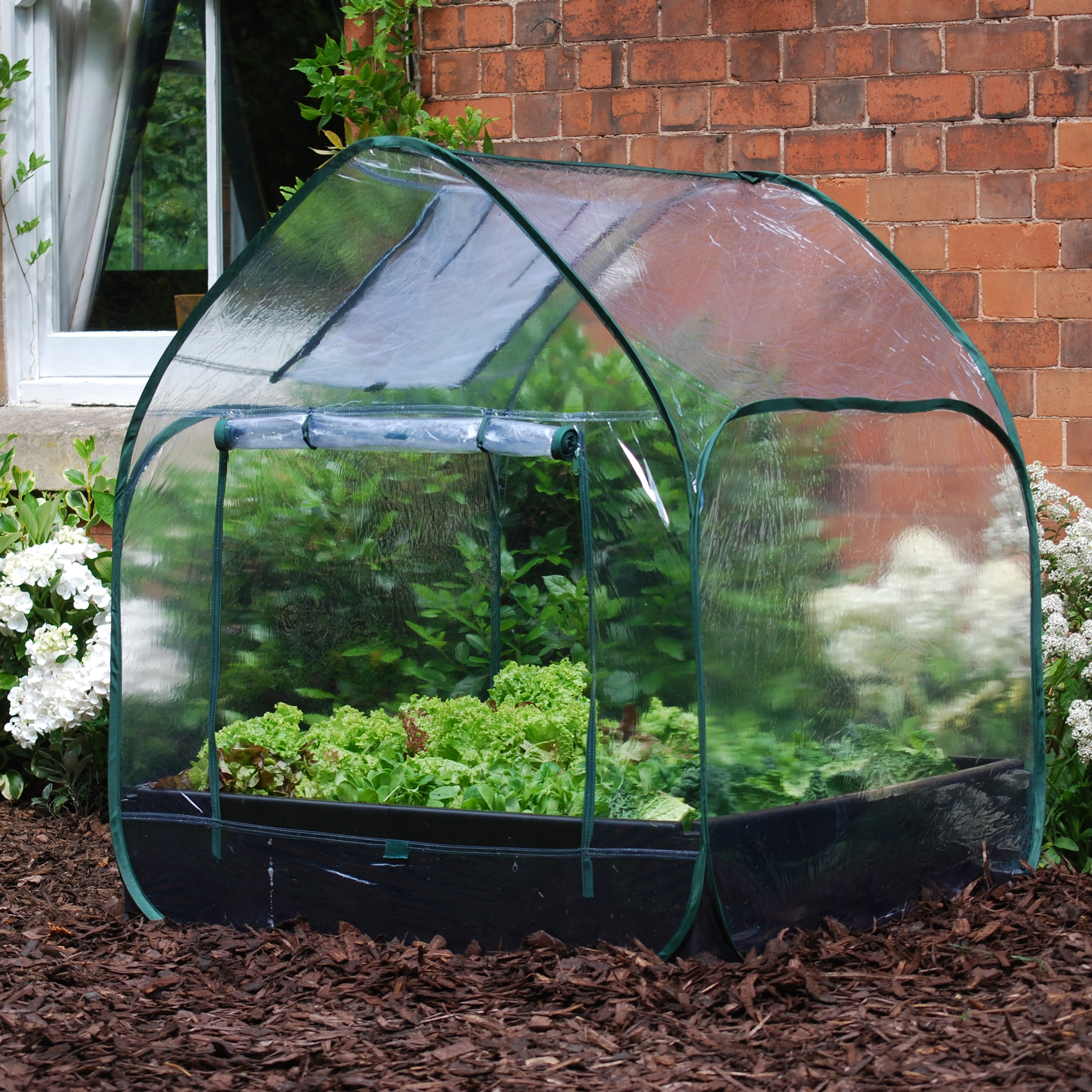 Buy Pop up cloche cover for grow bed Delivery by Crocus