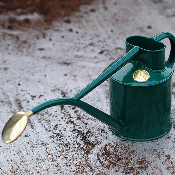 Buy Haws green metal 1 litre watering can Delivery by Waitrose Garden
