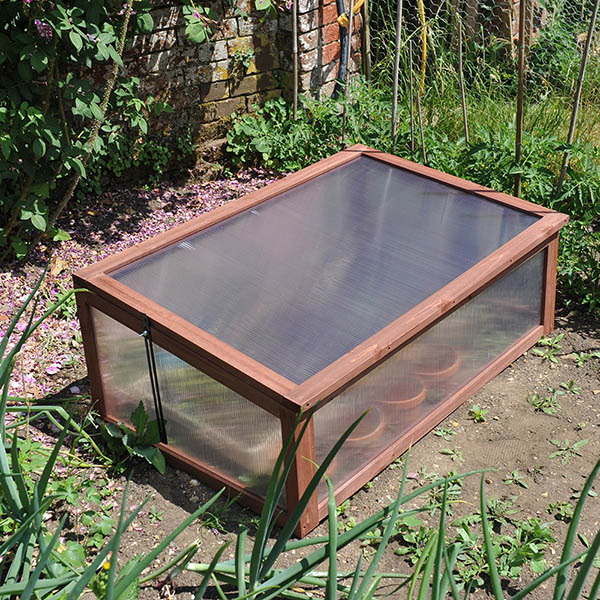 Buy Wooden cold frame