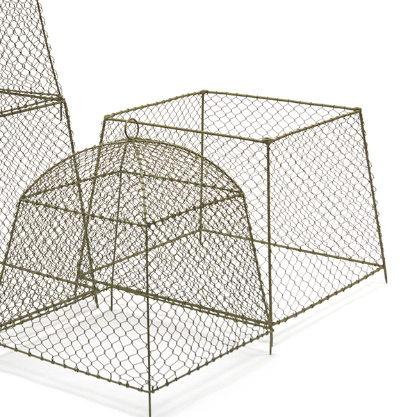 Buy Rabbit proof cloche extension