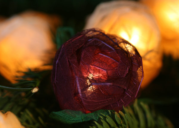 Buy Burgundy and cream rose string lights