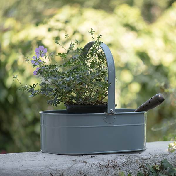 Buy Waitrose garden trug Delivery by Waitrose Garden in association