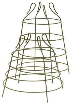 Cage plant support Cage plant support