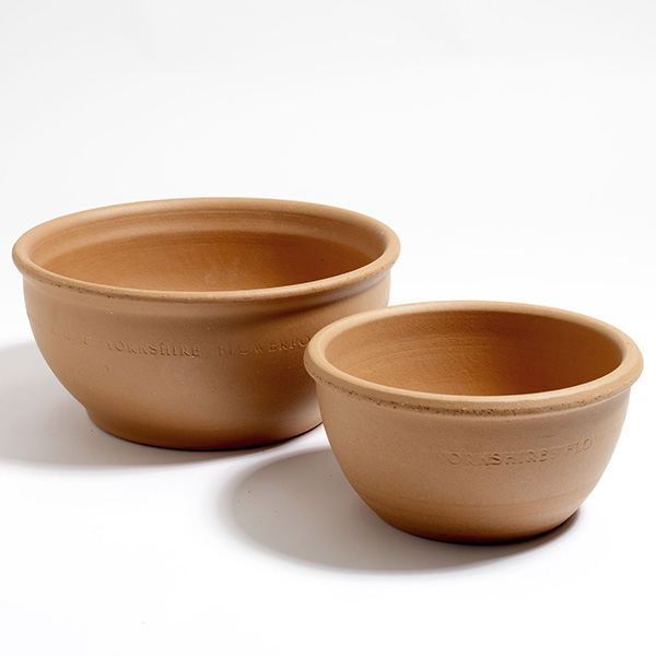 Buy Terracotta bulb bowl Delivery by Crocus