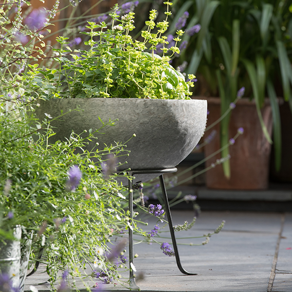 Buy Sphere planter : Delivery by Crocus