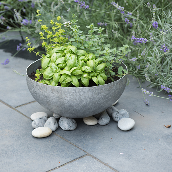 Buy Sphere planter Delivery by Crocus