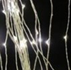 50 LED silver wire string lights
