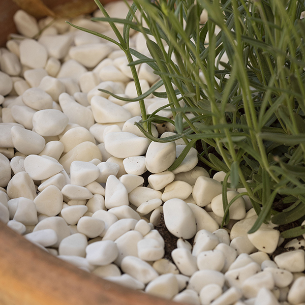 Decorative Glass Stones Decorative Glass Stones