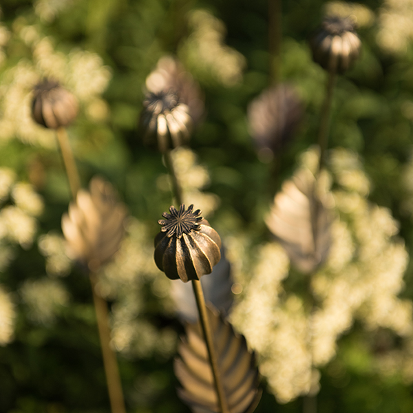 Buy Poppy seed head stake tall Delivery by Crocus