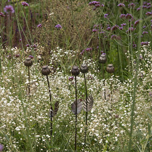 Buy Poppy seed head stake– tall : Delivery by Crocus