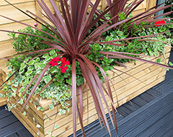Rectangular contemporary planter