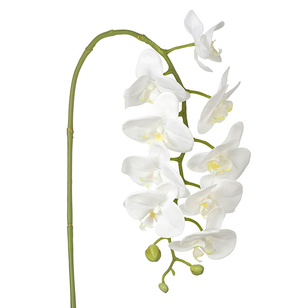 Buy Artificial orchid phalaenopsis : Delivery by Waitrose 