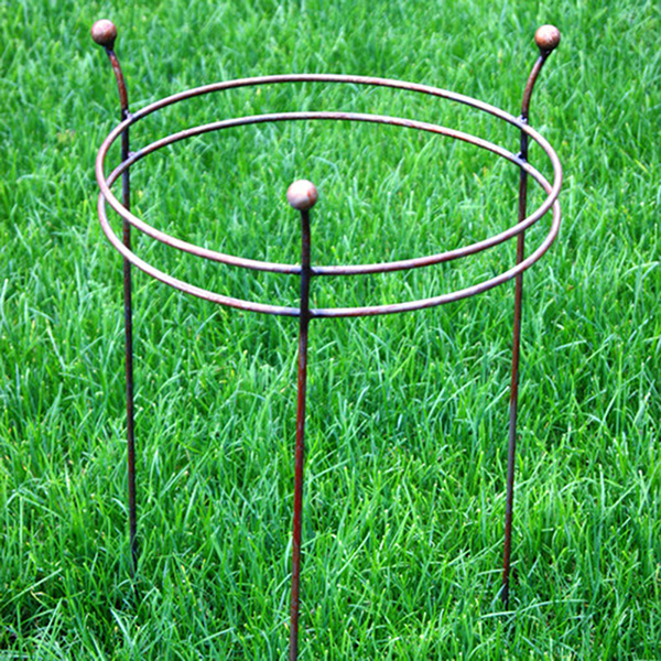 Buy Double ring plant support